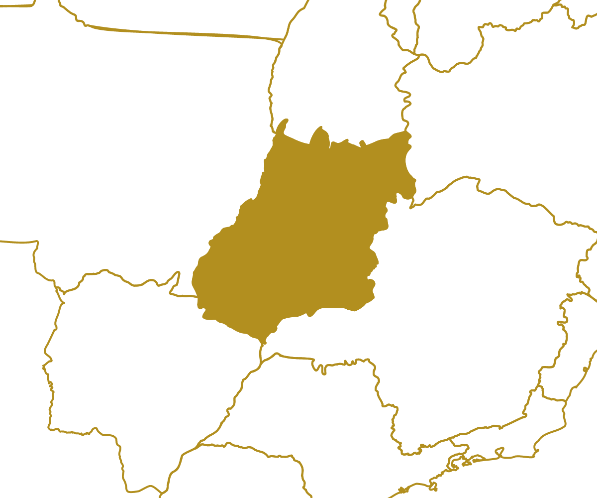 Mapa da região GO