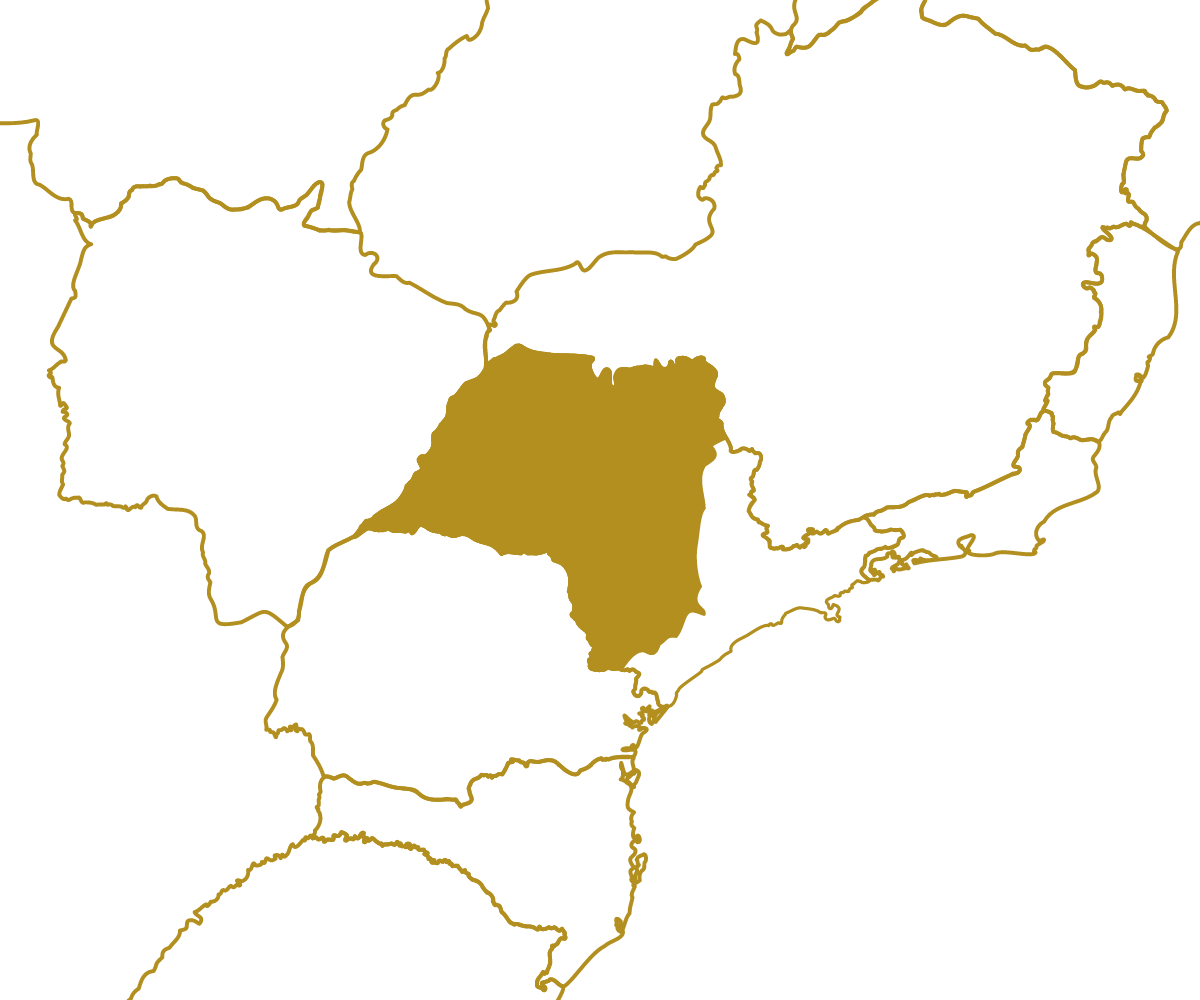 Mapa da região SP