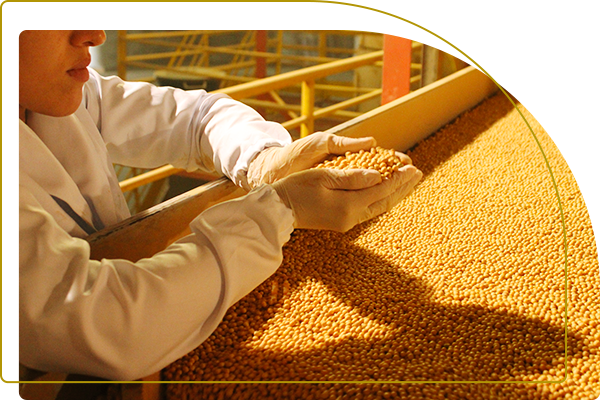 abertura produtos