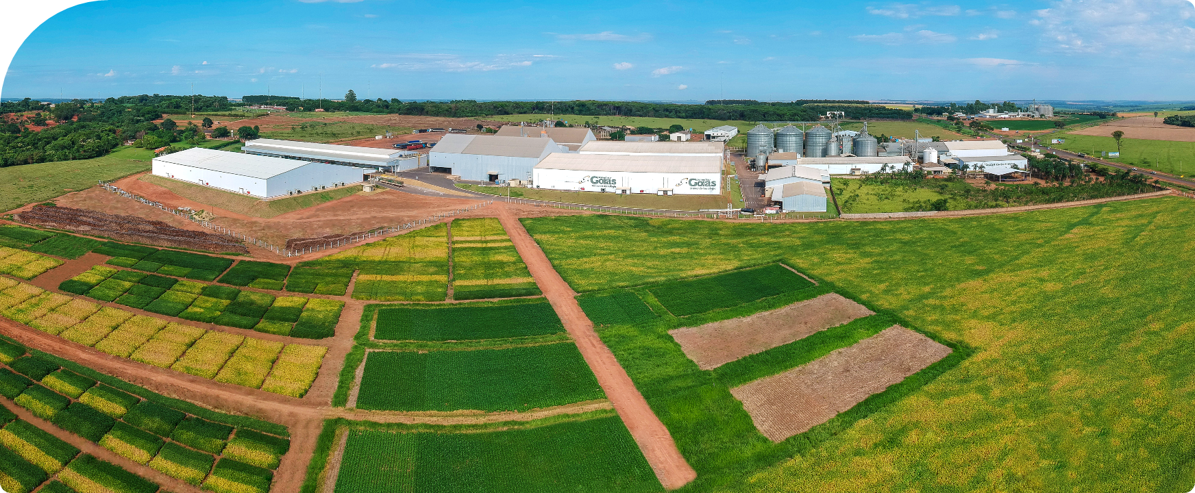 Foto aérea de campos plantados