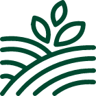 Ícone de uma plantinha crescendo entre colinas