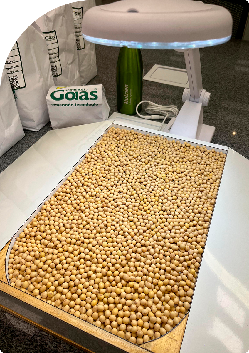 Laboratório 2